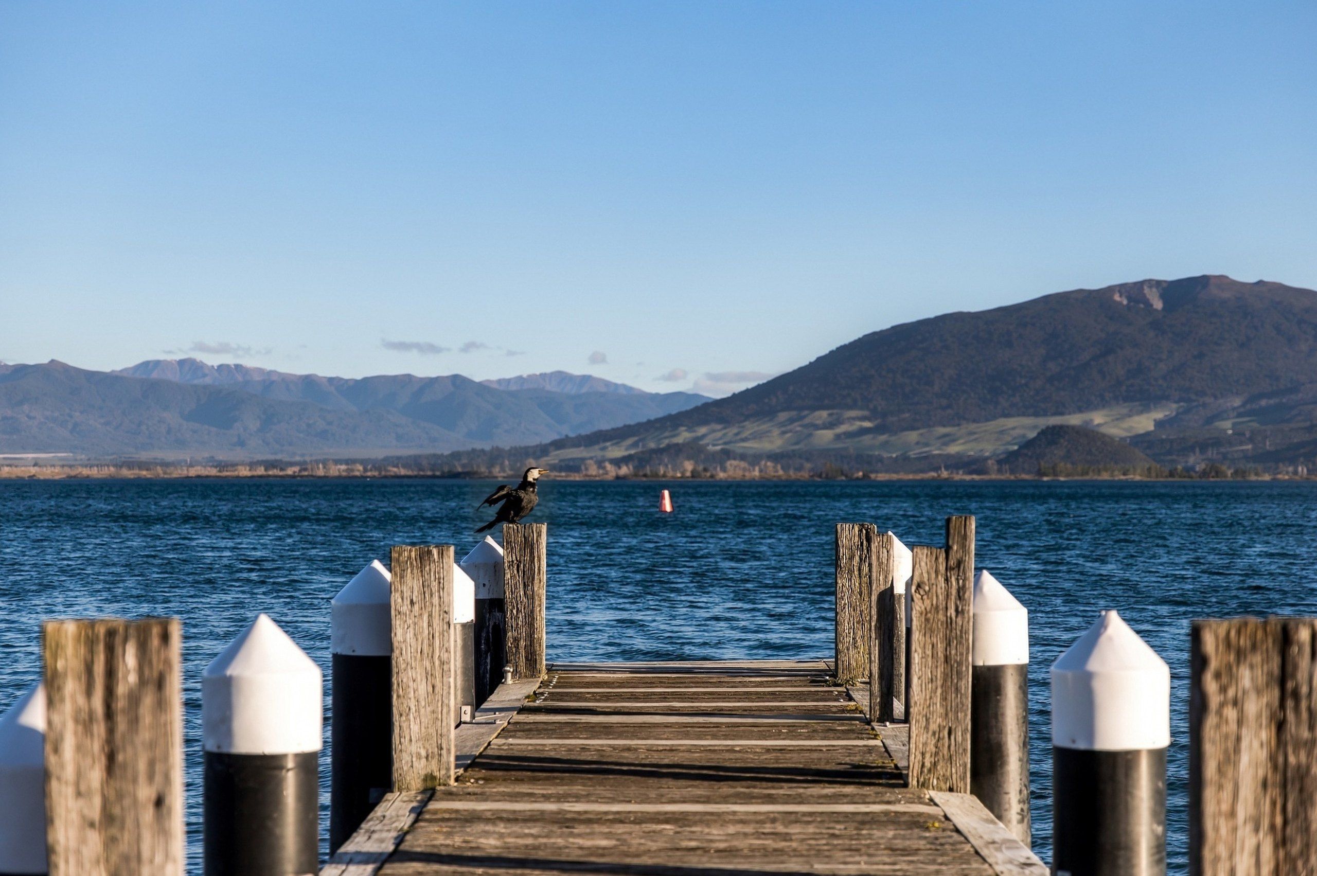 The jetty at Kuratau with the lake and hills behind
