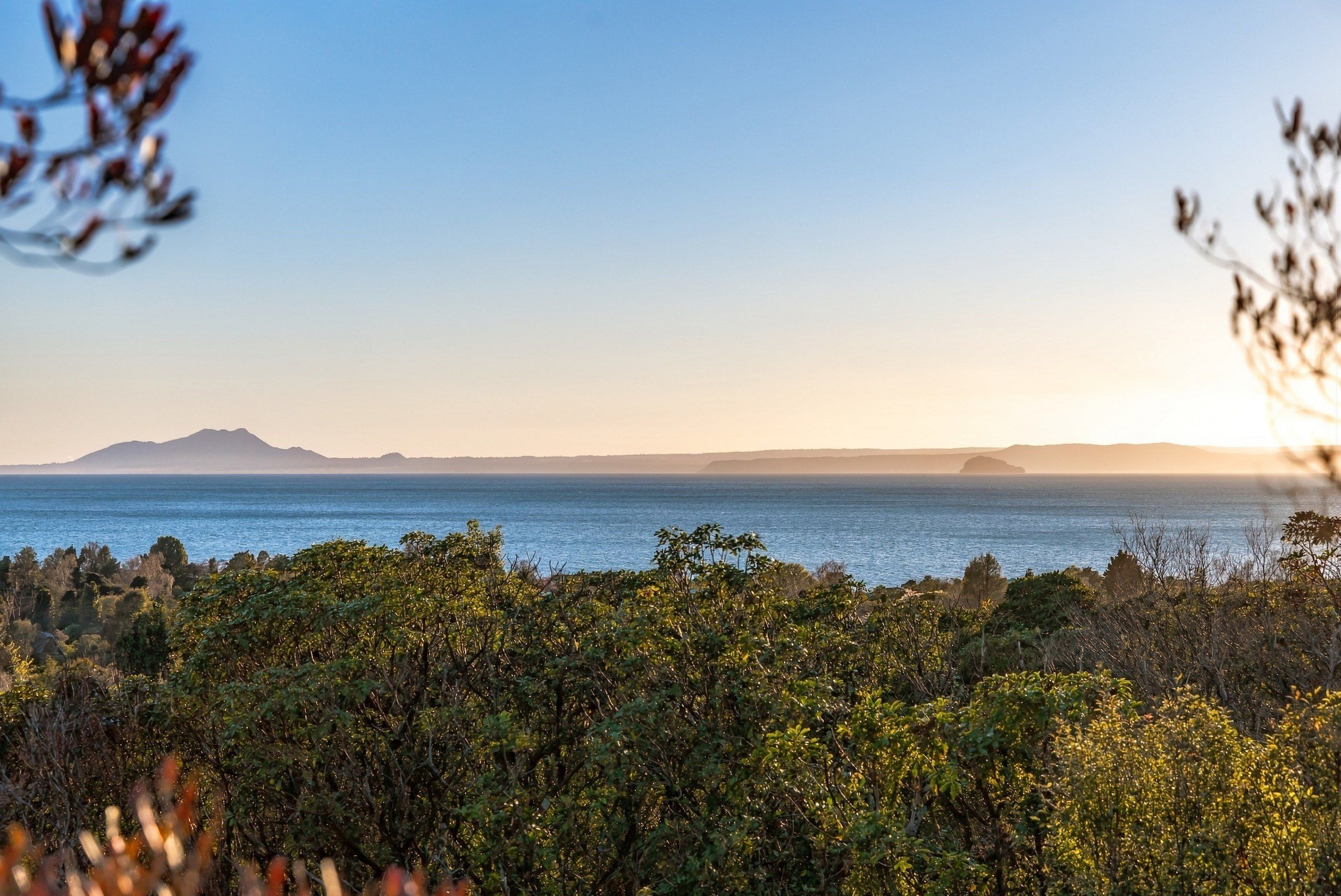 View across the bush canopy to Lake Taupō